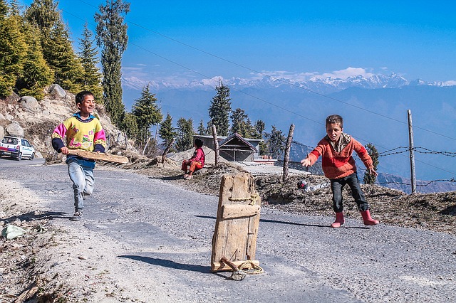 Kids playing cricket