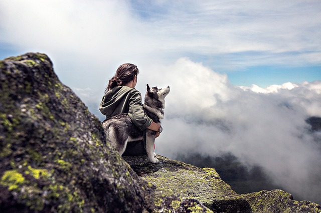 Loving a Lone Wolf: How to keep a Relationship on with a Loner