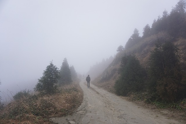 Walk in Woods, Solitude