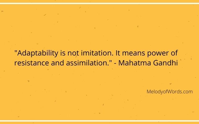 Mahatma Gandhi Quotes on Change