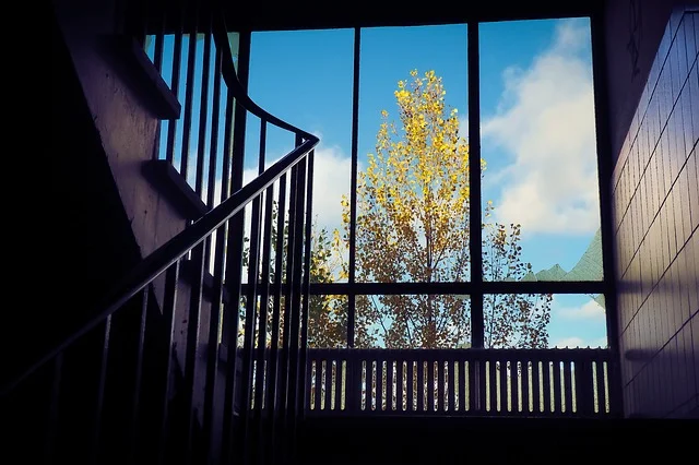 A view of tree from the window, An Abandoned Tree: Short Story