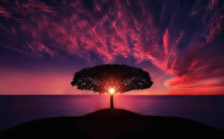 Colours of my Heart