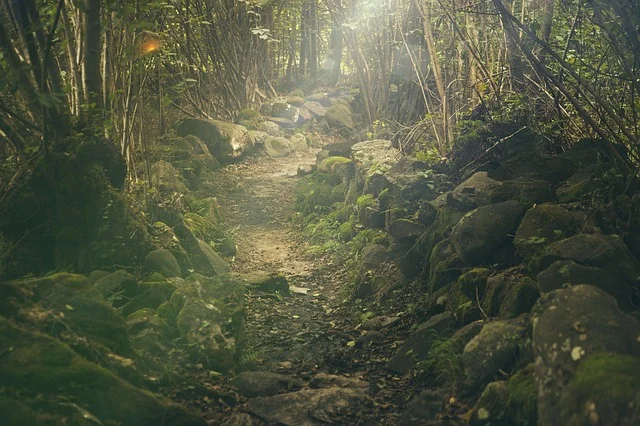 Mountain Pathway