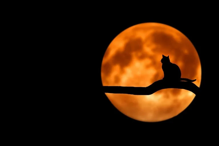 Bittersweet Nights- Quotes on Tough Times