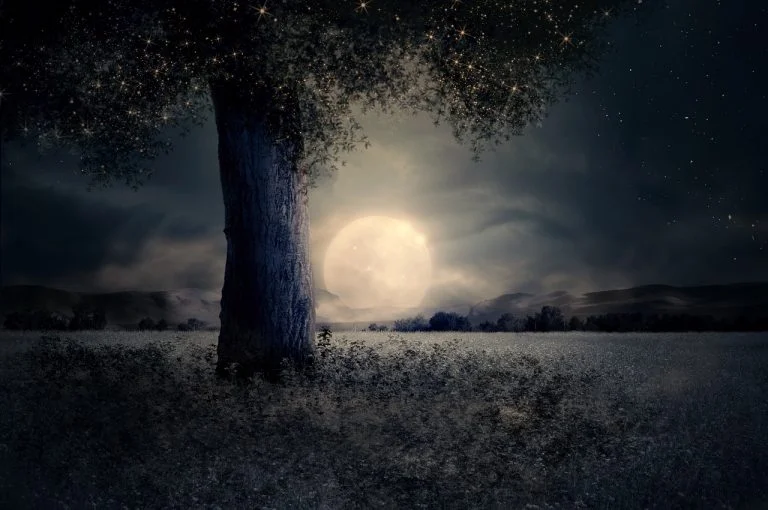 Old Wounds and Nights- Quotes on Loneliness