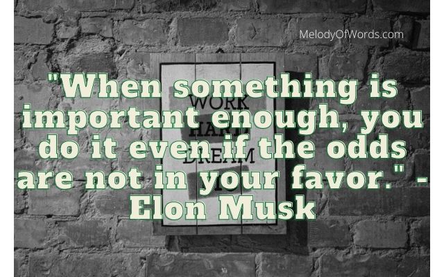 Motivational Quotes on Life Elon Musk