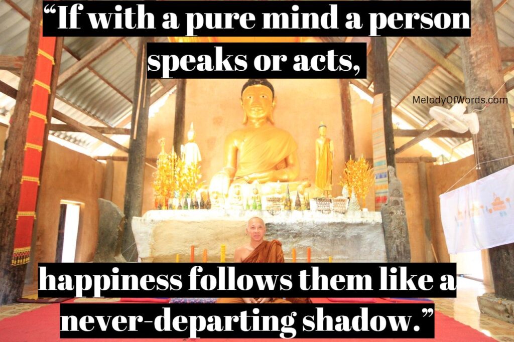 Buddha Quotes on Happiness