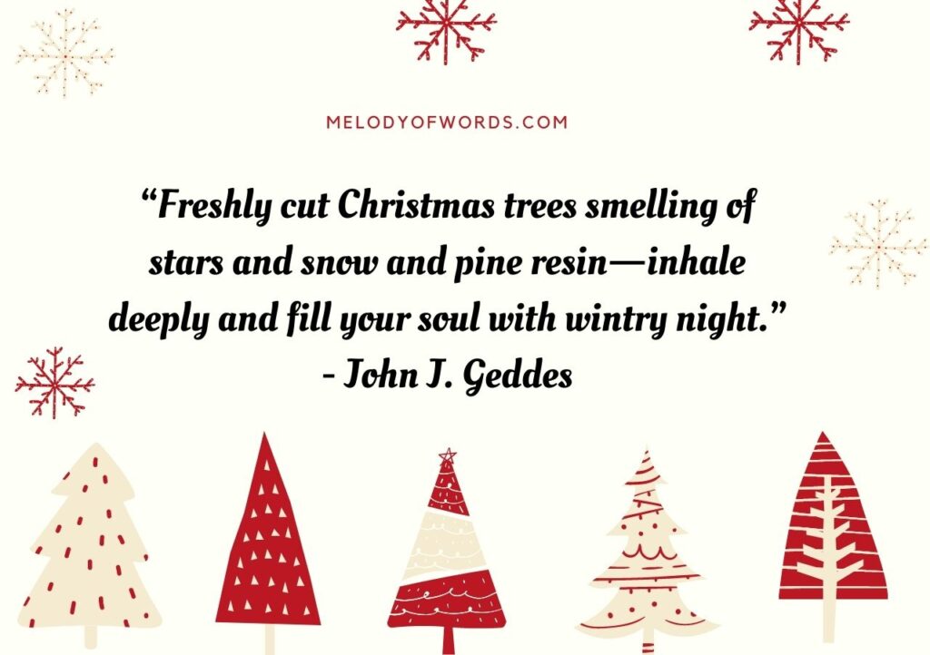 100 Best Christmas Quotes that are Sweet, Funny and Memorable
