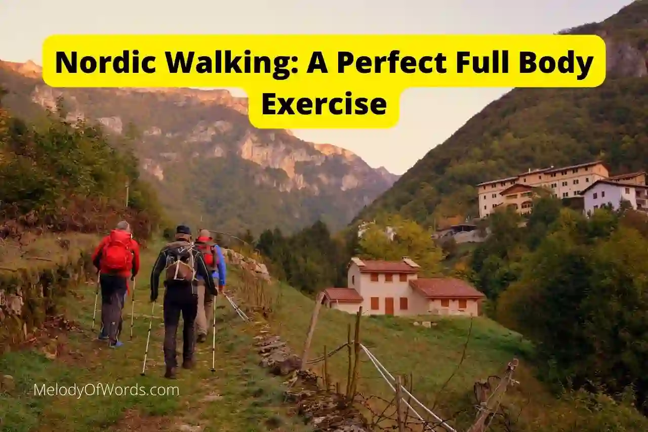 Nordic Walking A Perfect Full Body Exercise