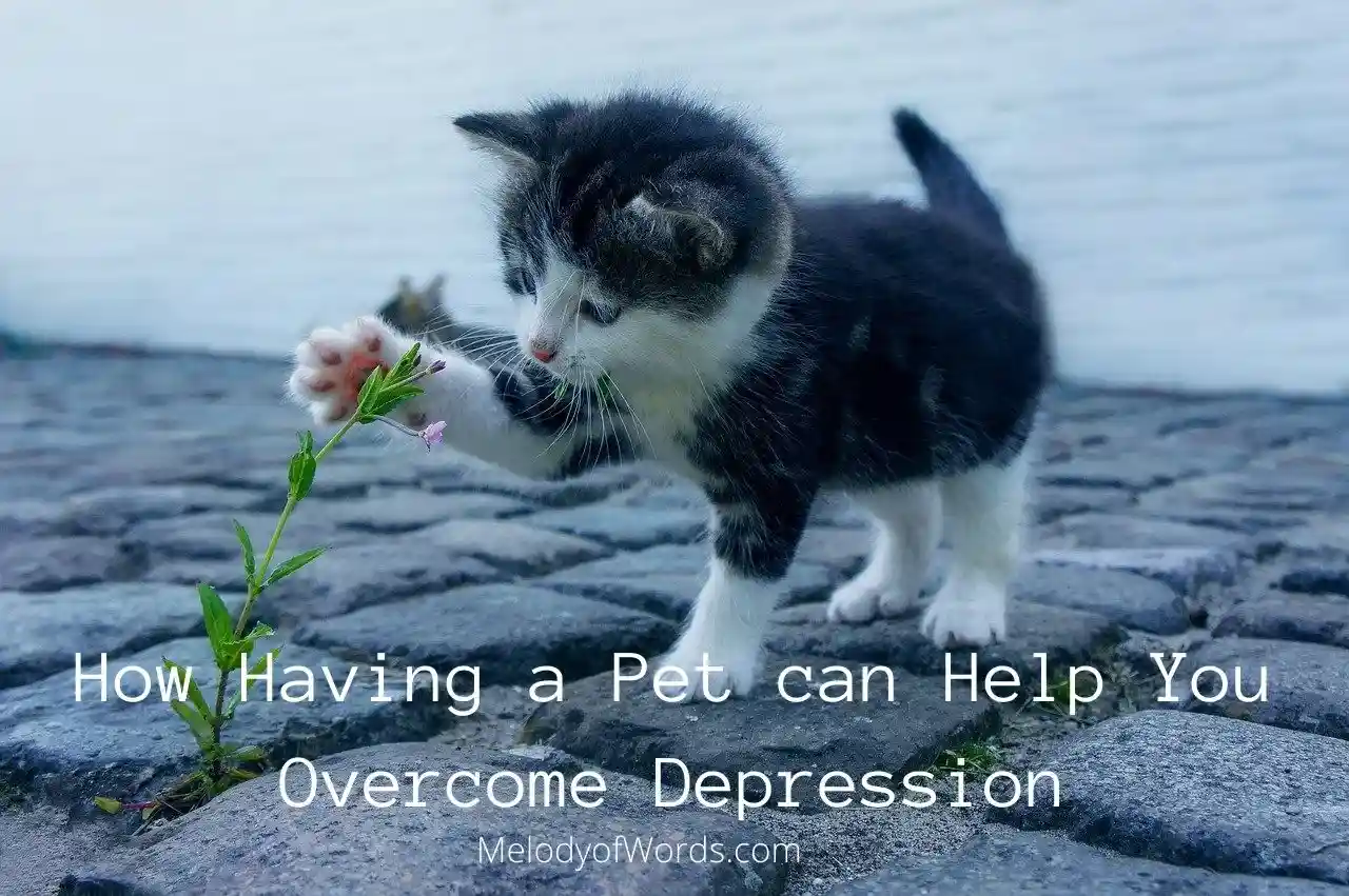 9 Reasons Having a Pet can Help You Overcome Depression