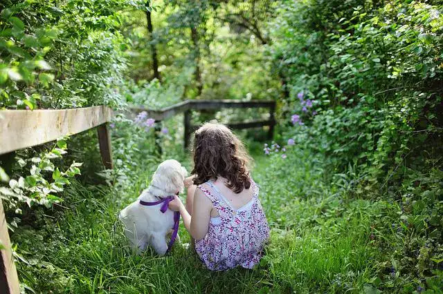 Pets Make You Feel Responsible